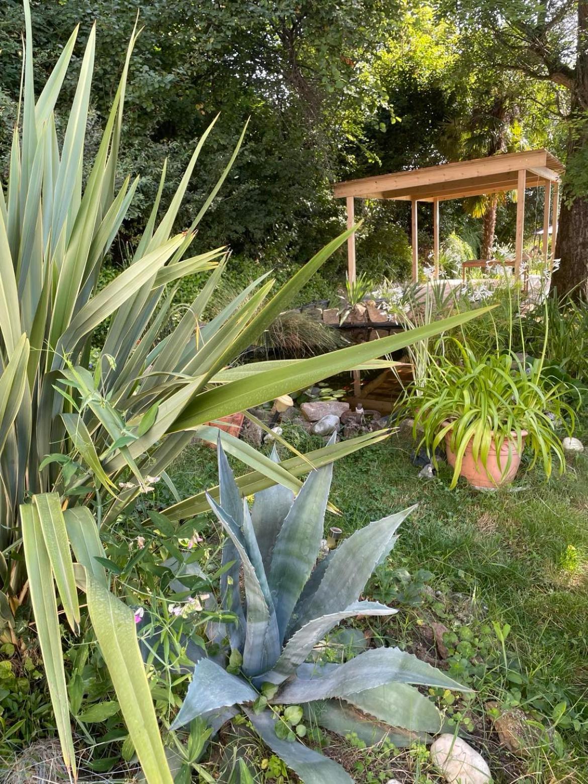 Bed and Breakfast Les Agapanthes Vaux-en-Beaujolais Exterior foto